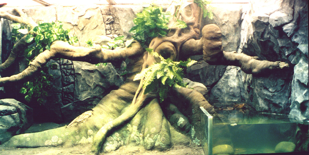 Севастопольский морской Аквариум-Музей, интерьер - фото 5
